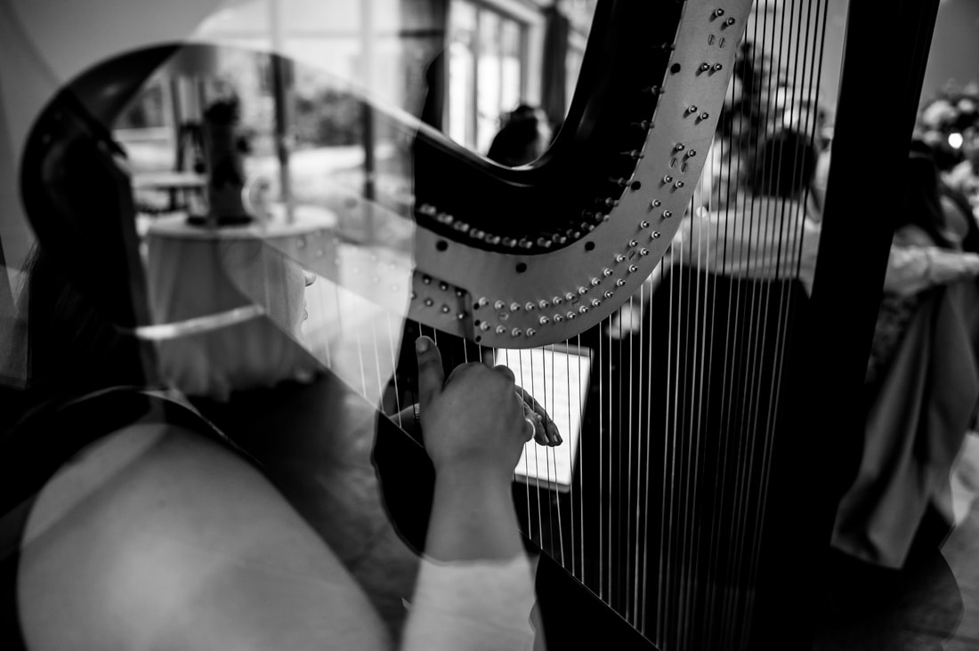 blackwell grange wedding harpist