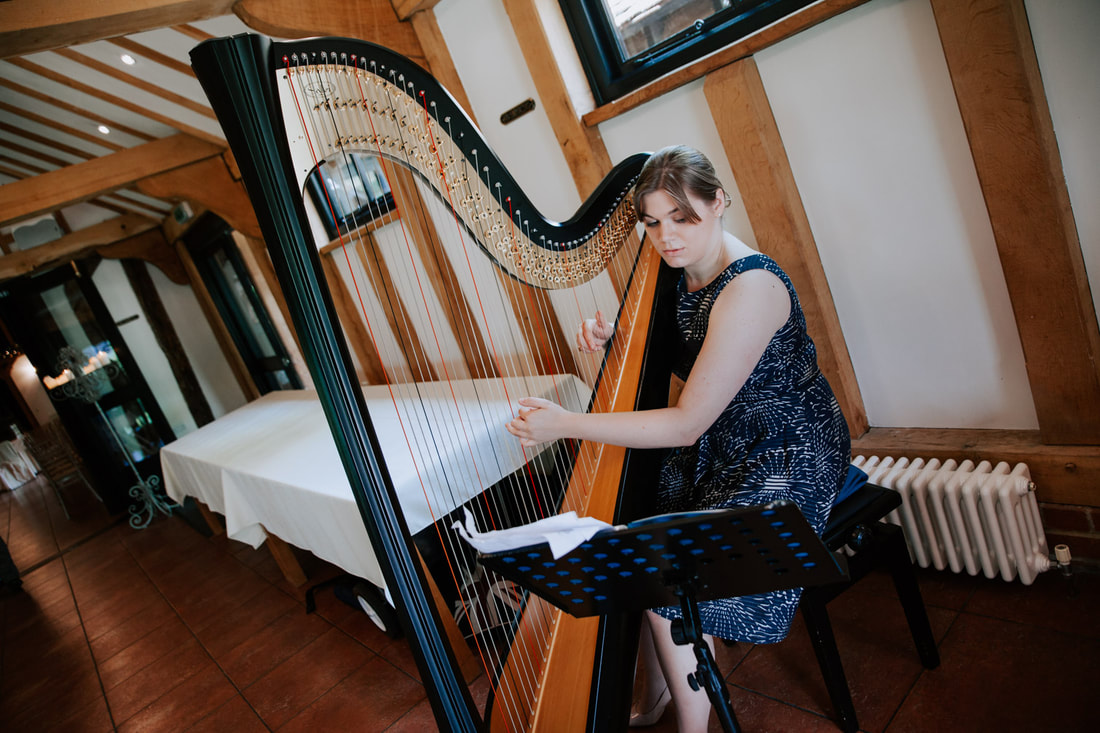 harpist performing at wedding drinks reception in essex