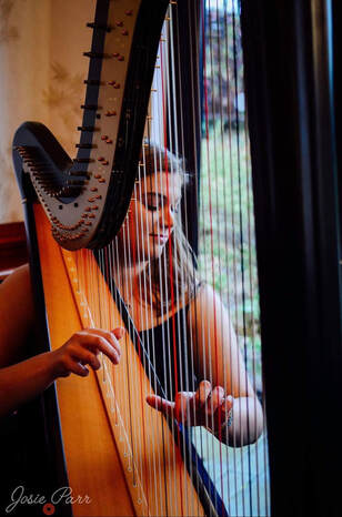 harriet flather harpist performing at a wedding at barnsdale hall rutland