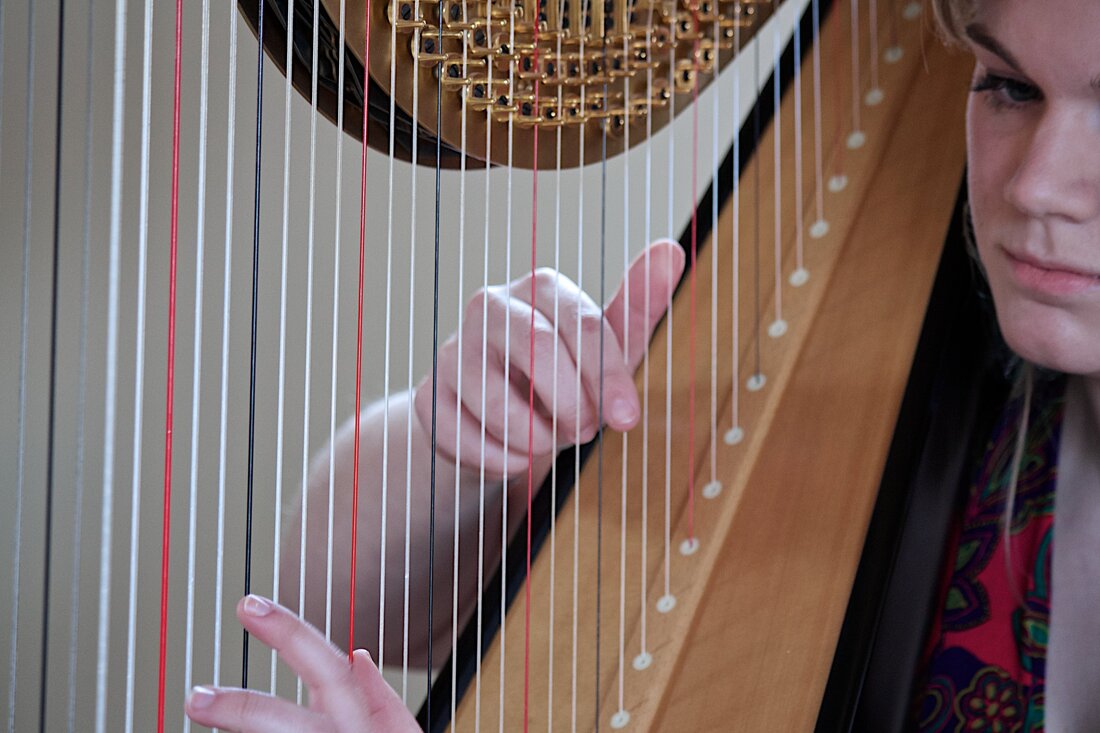 harpist performing at dodmoor house wedding ceremony